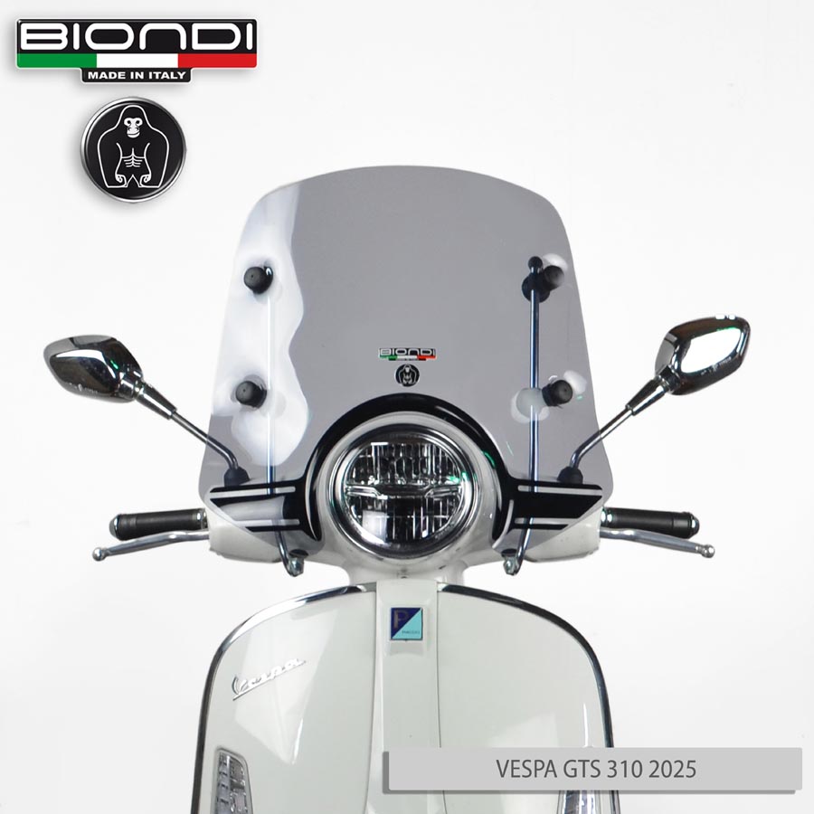 8061205 VESPA GTS 310 2025 W