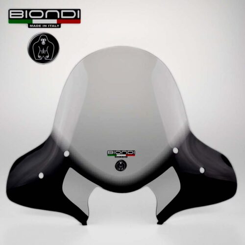 8061210-Wild-Honda-SH-2001 fume